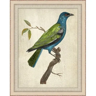 Wendover Art Group Blue Birds 7 - Picture Frame Painting On Paper In Blue;green;beige