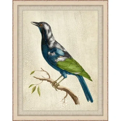 Wendover Art Group Blue Birds 8 - Picture Frame Painting On Paper In Blue;black;green;beige