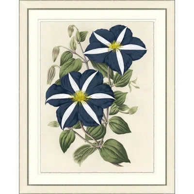 Wendover Art Group Blue Blossom 1 - Picture Frame Painting On Paper In Blue;green;ivory