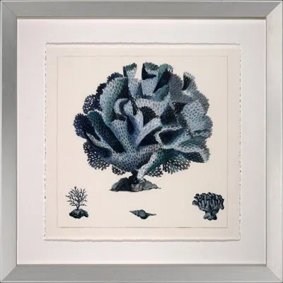 Wendover Art Group Blue Coral I - Picture Frame Graphic Art In Blue;beige