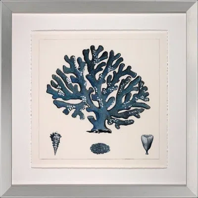 Wendover Art Group Blue Coral Ii - Picture Frame Graphic Art In Blue;beige
