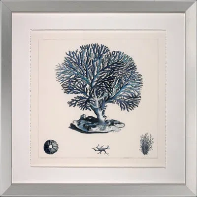 Wendover Art Group Blue Coral Iii - Picture Frame Graphic Art In Blue;beige