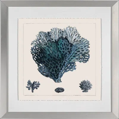 Wendover Art Group Blue Coral Iv - Picture Frame Graphic Art In Blue;beige