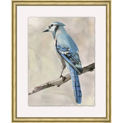 Wendover Art Group Blue Jay 2 - Picture Frame Painting On Paper In Blue;beige