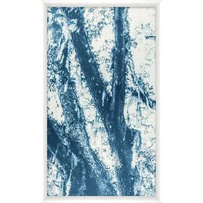 Wendover Art Group Blue Oak 3 By Studiobjet - Single Picture Frame Photograph In Blue;white