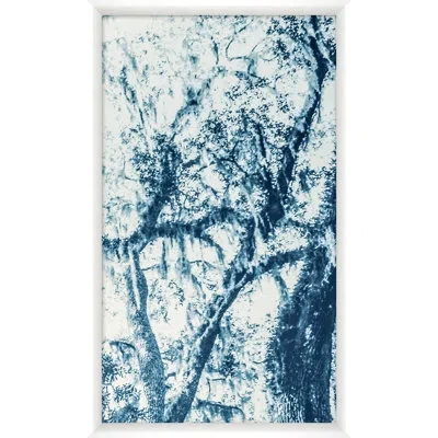 Wendover Art Group Blue Oak 4 By Studiobjet - Single Picture Frame Photograph In Blue;white
