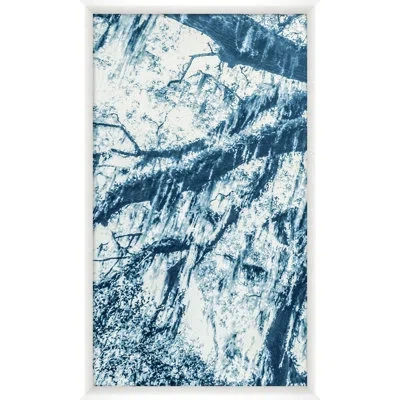 Wendover Art Group Blue Oak 7 By Studiobjet - Single Picture Frame Photograph In Blue;white