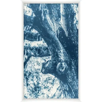 Wendover Art Group Blue Oak 8 By Studiobjet - Single Picture Frame Photograph In Blue;white