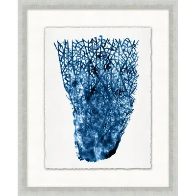 Wendover Art Group Blue Sea Fan 4 - Picture Frame Painting On Paper In Blue;white