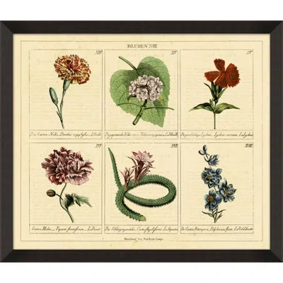 Wendover Art Group Blumen N Iii - Picture Frame Graphic Art On Paper In Green;beige