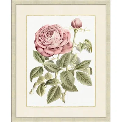 Wendover Art Group Blush Florals 1 - Picture Frame Painting On Paper In Green;beige;pink