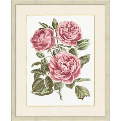 Wendover Art Group Blush Florals 2 - Picture Frame Painting On Paper In Green;beige;pink