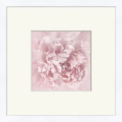 Wendover Art Group Blush (wla1986) In Blush,gray