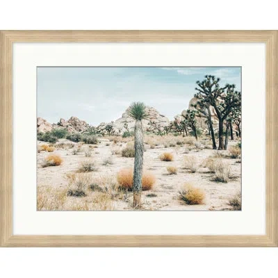 Wendover Art Group Bohemian View Of Joshua Tree - Picture Frame Photograph On Paper In Brown Framed