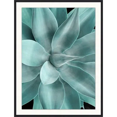 Wendover Art Group Bold Agave 2 - Picture Frame Photograph On Paper In Turquoise