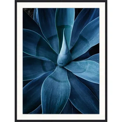 Wendover Art Group Bold Agave 3 - Picture Frame Photograph On Paper In Blue;black