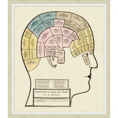 Wendover Art Group Brain Chart - Picture Frame Graphic Art In Beige;yellow;pink