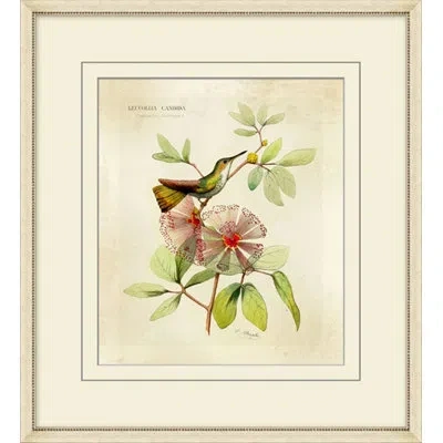 Wendover Art Group Brilliant Hummingbird Collection 2 - Picture Frame Graphic Art On Paper In Green;red