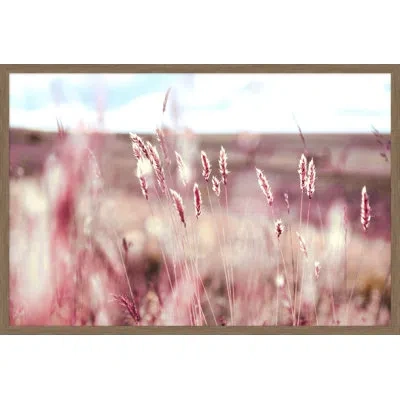 Wendover Art Group Buble Gum Field By Mat Sanders - Single Picture Frame Photograph In White;pink