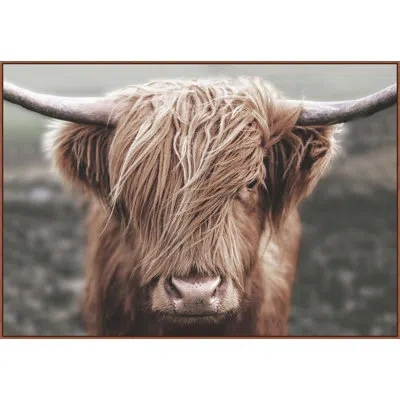 Wendover Art Group Buffalo Portrait In Brown