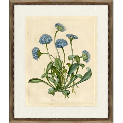 Wendover Art Group Bunonia - Picture Frame Painting On Paper In Blue;green