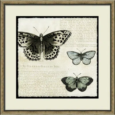 Wendover Art Group Butterfly Collage Ii - Picture Frame On Paper In Black;beige