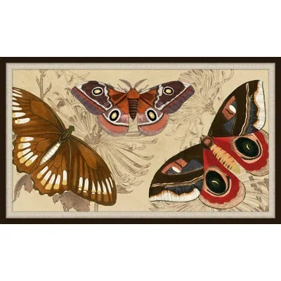 Wendover Art Group Butterfly Detail 2 - Picture Frame Graphic Art In Brown;red;orange