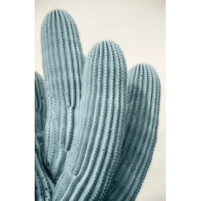 Wendover Art Group Cactus 2 By Christopher Kennedy - Unframed Photograph On Acrylic In Off White;mint Blue