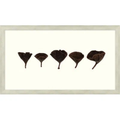 Wendover Art Group Calice Mushrooms - Picture Frame Graphic Art In Neutral