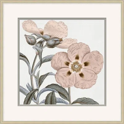 Wendover Art Group Classic Efflorescence 1 - Picture Frame Painting In Gray;ivory;pastel