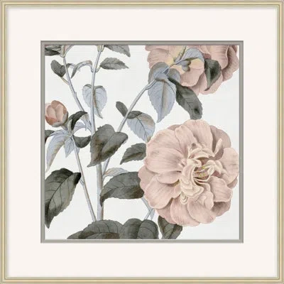 Wendover Art Group Classic Efflorescence 3 - Painting In Gray;ivory;pastel