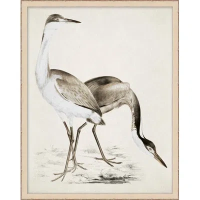 Wendover Art Group Coastal Bird Impression 1 - Picture Frame Painting In Gray;beige