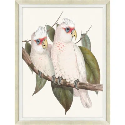 Wendover Art Group Cocatoo 1 - Picture Frame Painting In White