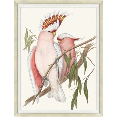 Wendover Art Group Cocatoo 2 - Picture Frame Painting In Pink