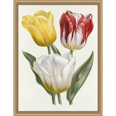 Wendover Art Group Colorful Traditional Blooms 1 - Picture Frame Painting On Paper In White;red;yellow
