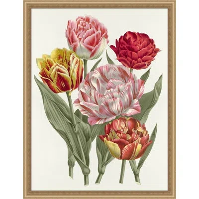 Wendover Art Group Colorful Traditional Blooms 3 - Picture Frame Graphic Art On Paper In White;green;red;yellow