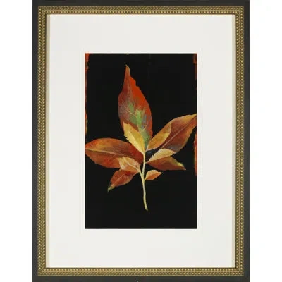 Wendover Art Group 'colors Of Autumn I' - Picture Frame Drawing Print On Glass In Black;orange
