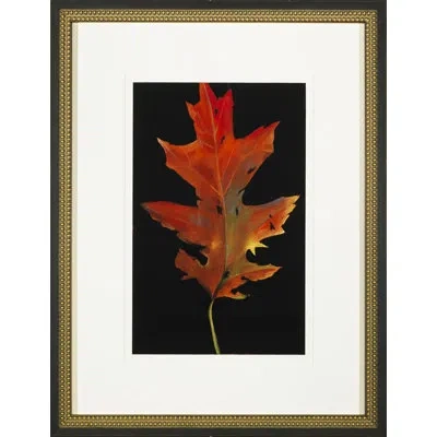 Wendover Art Group 'colors Of Autumn Ii' - Picture Frame Painting On Glass In Black;red