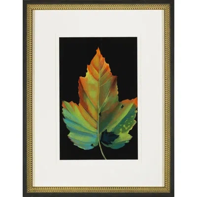Wendover Art Group 'colors Of Autumn Iv' - Picture Frame Painting On Glass In Black;green