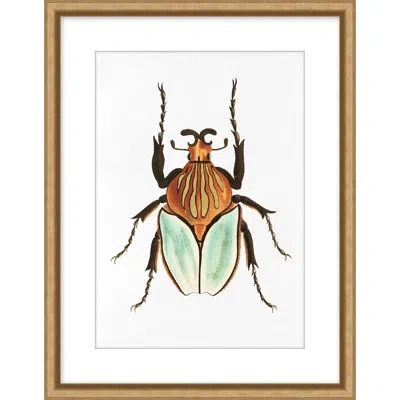 Wendover Art Group Contemporary Gallery - Beetle By Lillian August - Single Picture Frame Painting In Brown;green