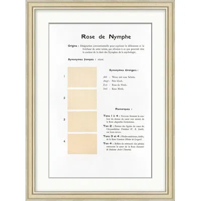 Wendover Art Group Coral 11 In Black,white,beige,cream