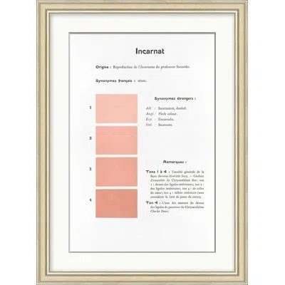 Wendover Art Group Coral 3 In Pink,white,black