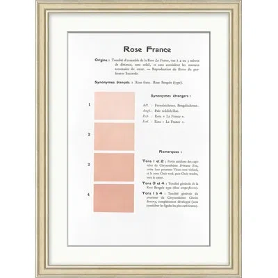 Wendover Art Group Coral 6 In Red,black,pink