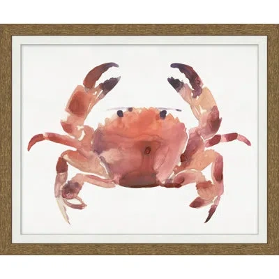 Wendover Art Group Coral Crab Impression 2 - Picture Frame Painting On Paper In White;red;orange