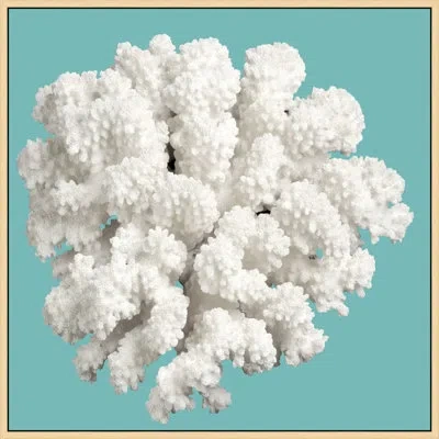 Wendover Art Group Coral On Aqua 10 By Lillian August - Photograph On Plastic/acrylic In White;green