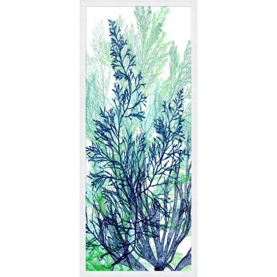 Wendover Art Group Coral Panel 1 - Picture Frame Painting On Paper In Green