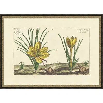 Wendover Art Group Corcus Montan - Picture Frame Painting On Paper In Brown;green;yellow