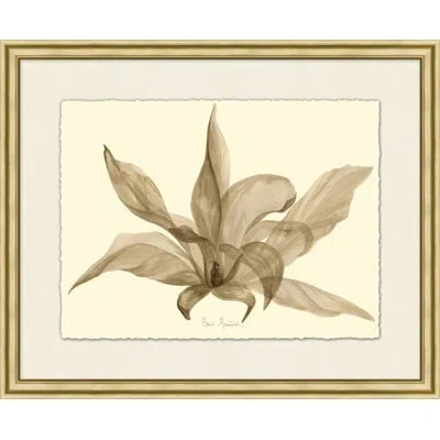 Wendover Art Group Cowcumber - Picture Frame Painting On Paper In Brown