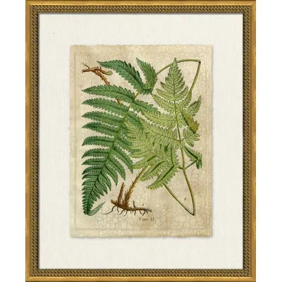 Wendover Art Group Crackled Fern Cluster I - Picture Frame Painting On Paper In White;green;beige