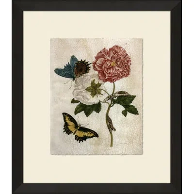 Wendover Art Group Crackled Insect Collection 5 - Picture Frame Painting On Paper In White;green;red